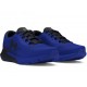 BUTY męskie UNDER ARMOUR Charged Rogue 3026998-400
