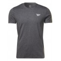 KOSZULKA męska REEBOK szara (100070673) t-shirt sportowa