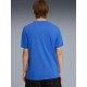 KOSZULKA męska PUMA ESSENTIALS SMALL (692912-13)